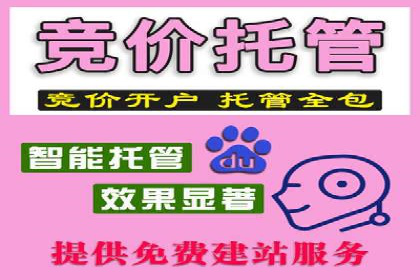 实战案例：SEM广告投放的优化策略